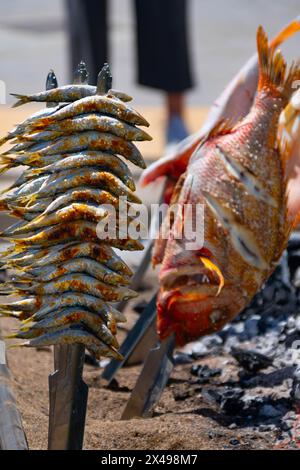 Skewers of octopus, sea bream, shrimp and sardines, grilled over a wood fire in a boat on the sand of the beach. Typical dish from Malaga, Andalusia, Stock Photo