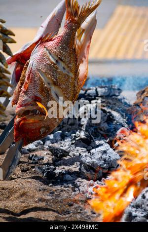 Skewers of octopus, sea bream, shrimp and sardines, grilled over a wood fire in a boat on the sand of the beach. Typical dish from Malaga, Andalusia, Stock Photo