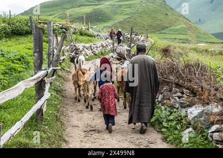 Village life in Sukhnai, Warwan Valley, Kashmir, India Stock Photo