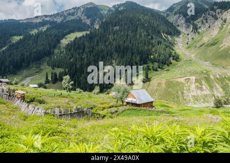 Stunning sceneries around Sukhnai village, Warwan Valley, Kashmir, India Stock Photo