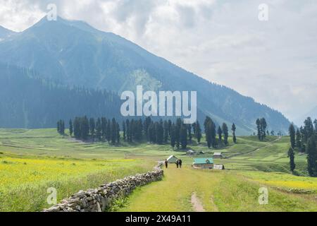 Stunning sceneries around Sukhnai village, Warwan Valley, Kashmir, India Stock Photo