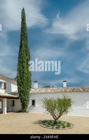 an Andalusian style country house with interior patio with terracotta sidewalks, white walls, gravel driveway, a newly planted olive tree and a large Stock Photo