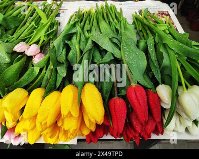 Colorful tulips with raindrops on the counter for sale. Stock Photo