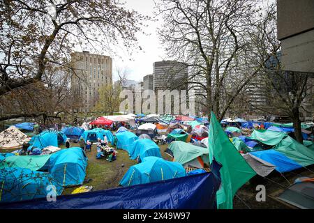 Montreal, Quebec, Canada. 1st May, 2024. A Quebec Superior Court judge has rejected a provisional injunction request that would have forced protesters at the pro-Palestinian encampment on McGill University's downtown campus to leave.The encampment protest has been in place since Saturday, and has grown in size in recent days. Protesters have said they are determined to stay put until the university divests from companies with business interests in Israel. (Credit Image: © Serkan Senturk/ZUMA Press Wire) EDITORIAL USAGE ONLY! Not for Commercial USAGE! Stock Photo