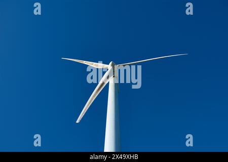Isolated wind generator at the experimental Sotavento Wind Farm in Lugo, Galicia, Spain. Renewable energy concept, green energy generation. Energetic Stock Photo