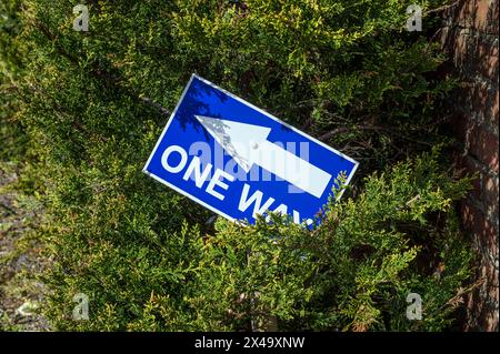 A sloping One Way sign in a tree Stock Photo