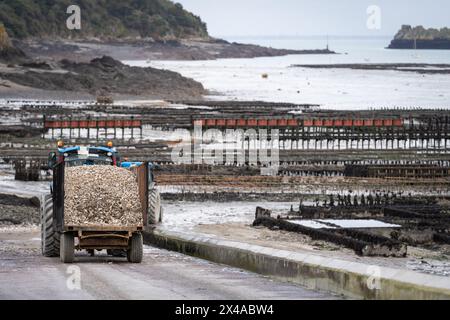 View of an oyster truck tractor with discarded oyster shells. Coastline of oyster production area of Cancale Bretagne France. Stock Photo