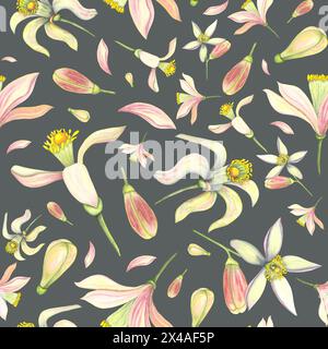 Watercolor tender set with bud and flower. Hand painted pink lemon tangerine orange flowers isolated on dark black background. Illustration for design Stock Photo