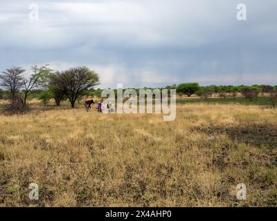 Tracking in the Kalahari with the San hunters, Namibia Stock Photo