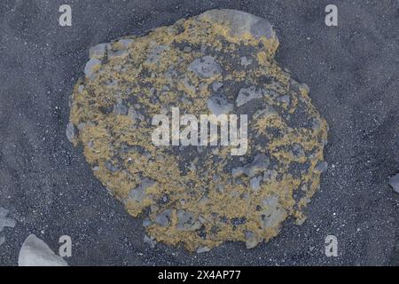 basalt stones at the beach, Dyrholaey, Iceland Stock Photo