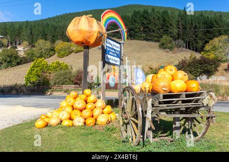 Autumn pumpkin display at Pierce Orchard, Ettrick-Raes Junction Road, Island Block, Otago, New Zealand Stock Photo