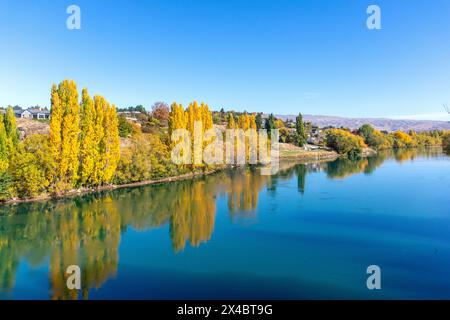 River Clutha from Alexandra Truss Arch Bridge in autumn, Alexandra (Areketanara), Otago, South Island, New Zealand Stock Photo