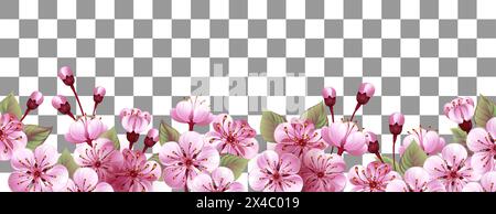 Spring seasonal background with long horizontal border of artistically drawn flowers, Japanese cherry blossoms in pink, delicate color, isolated in tr Stock Vector
