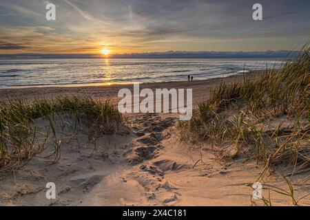 Two people are searching for seashells on the shoreline during a beautiful, colorful sunset. The narrow path through the dunes, surrounded by marram g Stock Photo