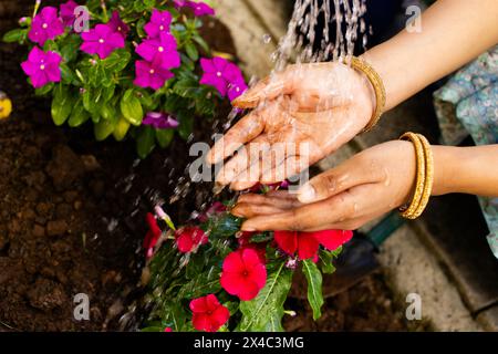 An Indian young woman, washing hands under running water. Surrounded by colorful flowers, wearing gold bangles against brown background, with her teen Stock Photo