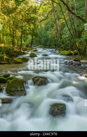 Costa Rica, Cordillera de Talamanca. Savegre River rapids. Stock Photo