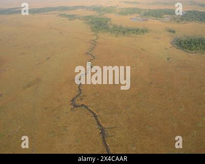 Riverine system in the Masai Mara National Reserve, Kenya Stock Photo