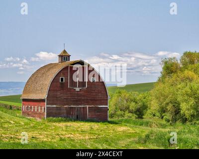 USA, Idaho, Palouse. Old 1819 red barn in the Palouse. (Editorial Use Only) Stock Photo