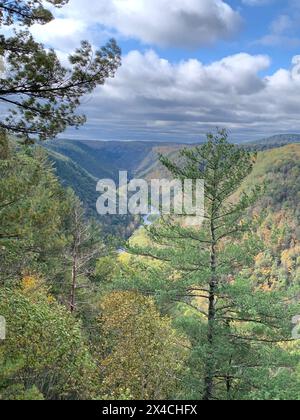 The Grand Canyon of Pennsylvania, also Pine Creek Gorge, is a natural Landmark in Tioga State Forest. Vertical photo, fall, fall foliage, gorge Stock Photo