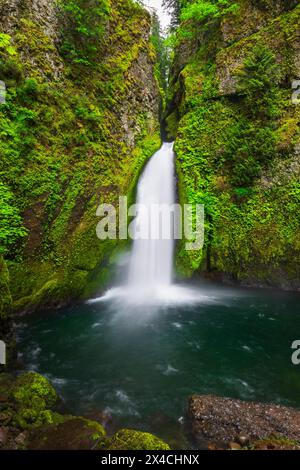 Wahclella Falls, Columbia River Gorge National Scenic Area, Oregon, USA Stock Photo