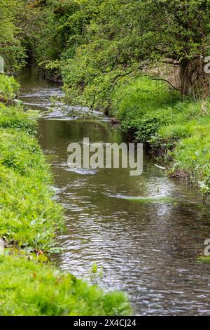 Linear Park, Cinderford is a wild space based around an old forest railway/tramway in an industrial zone of the town. Stock Photo