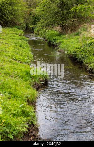 Linear Park, Cinderford is a wild space based around an old forest railway/tramway in an industrial zone of the town. Stock Photo