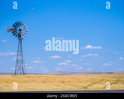 USA, Washington State, Palouse. Tall windmill in a field of wheat in summer. Stock Photo