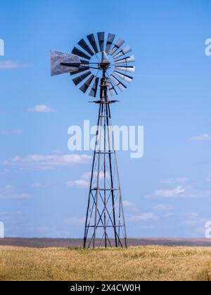 USA, Washington State, Palouse. Tall windmill in a field of wheat in summer. Stock Photo