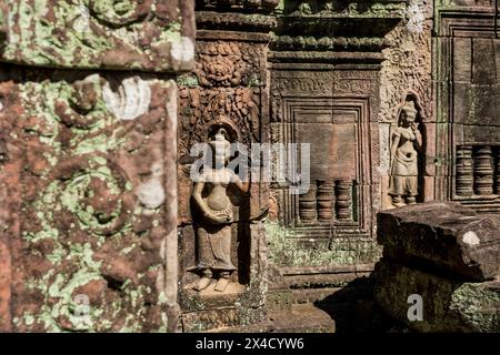 Asperas in Ta Som, Angkor, Cambodia Stock Photo