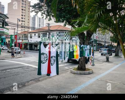 Street by the Football Stadium from Palmeiras, São Paulo, Brazil. April 26 2024. Stock Photo