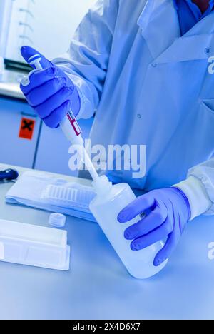 Close up view of a person in a scientific laboratory wearing rubber gloves whilst working with samples during an experimental procedure. Stock Photo