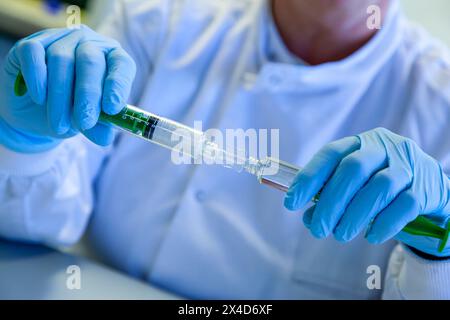 Close up view of a person in a scientific laboratory wearing rubber gloves whilst working with samples during an experimental procedure. Stock Photo