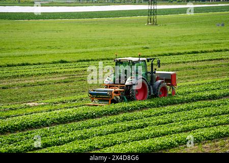 Innsbruck, Austria - May 1, 2024: Tractor with agricultural equipment on a field cultivation field. Farmer at work *** Traktor mit landwirtschaftlichem Gerät auf einem Acker Anbau Feld. Landwirt bei der Arbeit Stock Photo