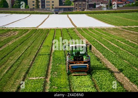 Innsbruck, Austria - May 1, 2024: Tractor with agricultural equipment on a field cultivation field. Farmer at work *** Traktor mit landwirtschaftlichem Gerät auf einem Acker Anbau Feld. Landwirt bei der Arbeit Stock Photo