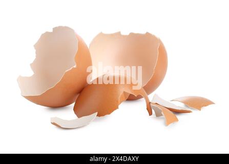 Shells of chicken egg isolated on white Stock Photo