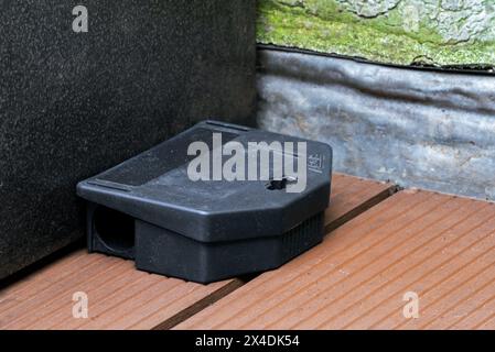 Poisoned plastic box for pest control, mouse bait station filled with rodenticide, poisonous paste as poison to exterminate mice in and around house Stock Photo