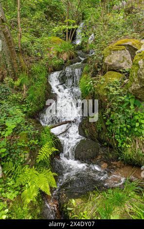 The Gaishöll waterfalls near Sasbachwalden in the Black Forest. Baden Wuerttemberg, Germany, Europe Stock Photo