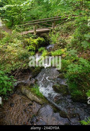 The Gaishöll waterfalls near Sasbachwalden in the Black Forest. Baden Wuerttemberg, Germany, Europe Stock Photo