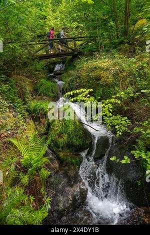 The Gaishöll waterfalls near Sasbachwalden in the Black Forest. Baden Wuerttemberg, Germany, Europe Stock Photo