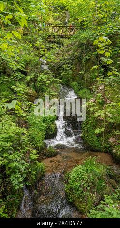 The Gaishöll waterfalls near Sasbachwalden in the Black Forest. Baden Wuerttemberg, Germany, Europe Stock Photo