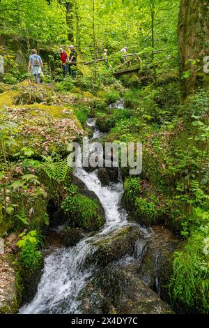 The Gaishöll waterfalls near Sasbachwalden in the Black Forest. Baden Wuerttemberg, Germany, Europe Stock Photo
