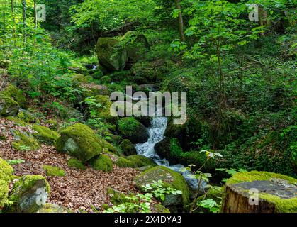 The Gaishöll waterfalls near Sasbachwalden in the Black Forest. Baden Wuerttemberg, Germany, Europe Stock Photo