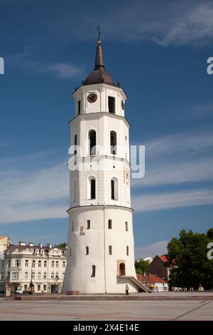 The Cathedral Basilica of St Stanislaus and St Ladislaus in Vilnius in Lithuania in Eastern Europe Stock Photo