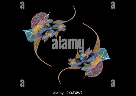 Multi-colored skeleton leaves arranged on black background Stock Photo
