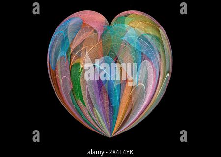 Multi-colored skeleton leaves arranged on black background Stock Photo