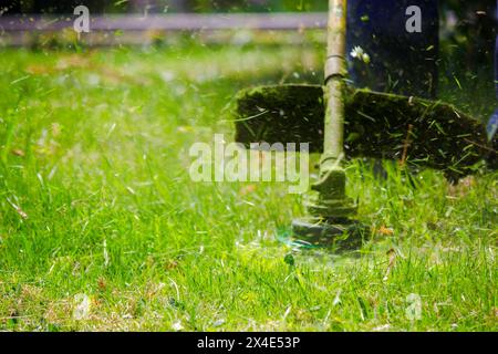 professional grass mowing in the park. closeup shot of gasoline brush cutter head with nylon line trimming fresh green lawn to small pieces Stock Photo