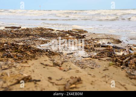 Lido di Jesolo, Italy - 2 May 2024: Littered beach after a storm. The waves have washed up wood and plastic from the sea. Pollution concept *** Verschmutzer Strand nach einem Sturm. Die Wellen haben aus dem Meer Treiholz und Plastik angespült. Umweltverschmutzung Konzept Stock Photo