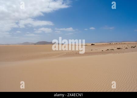 Sand Dunes in Corralejo, Fuerteventura, Canary Islands, Spain. Sand or Desert against Blue sky Stock Photo