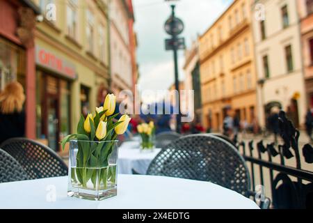 A romantic card with a bouquet of tulips. The spring yellow flowers are in a transparent glass vase on a table in a small cozy cafe on the old Europea Stock Photo