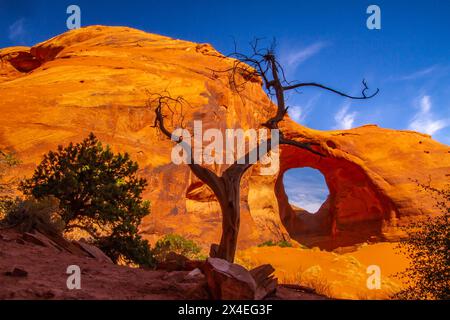 USA, Arizona, Monument Valley Navajo Tribal Park. Ear of the Wind arch in rock. Stock Photo